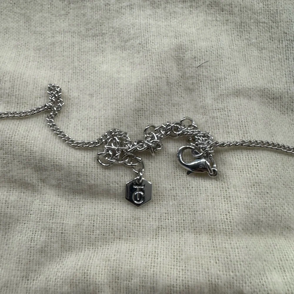 Touchstone crystal Silver Tassel Necklace - Picture 2 of 4